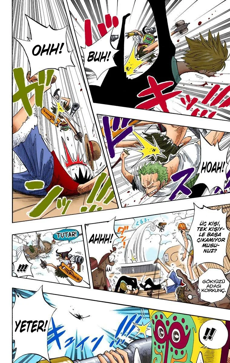 One Piece - Bölüm 237 - Sayfa 17