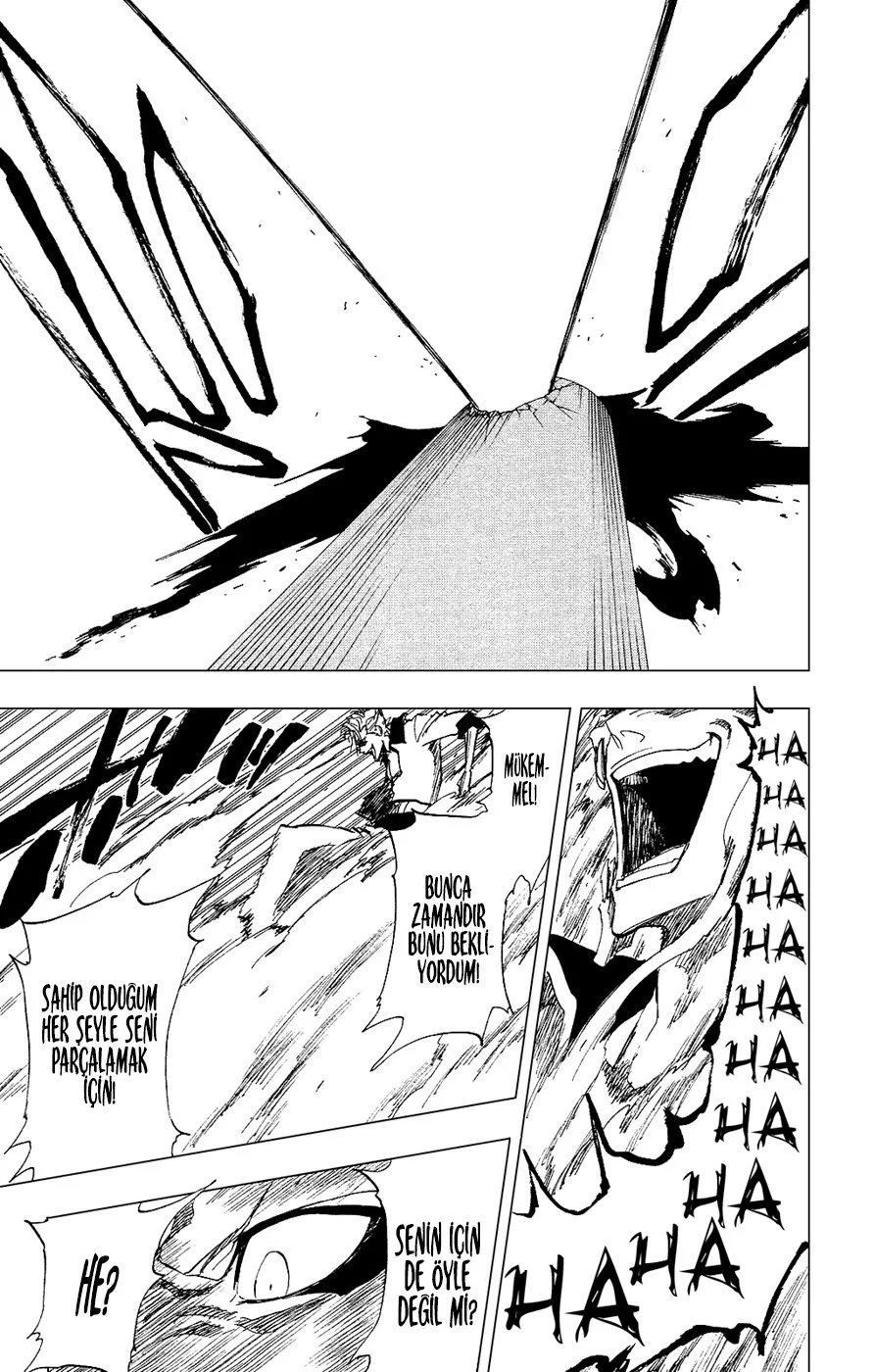 Bleach - Bölüm 279 - Sayfa 17