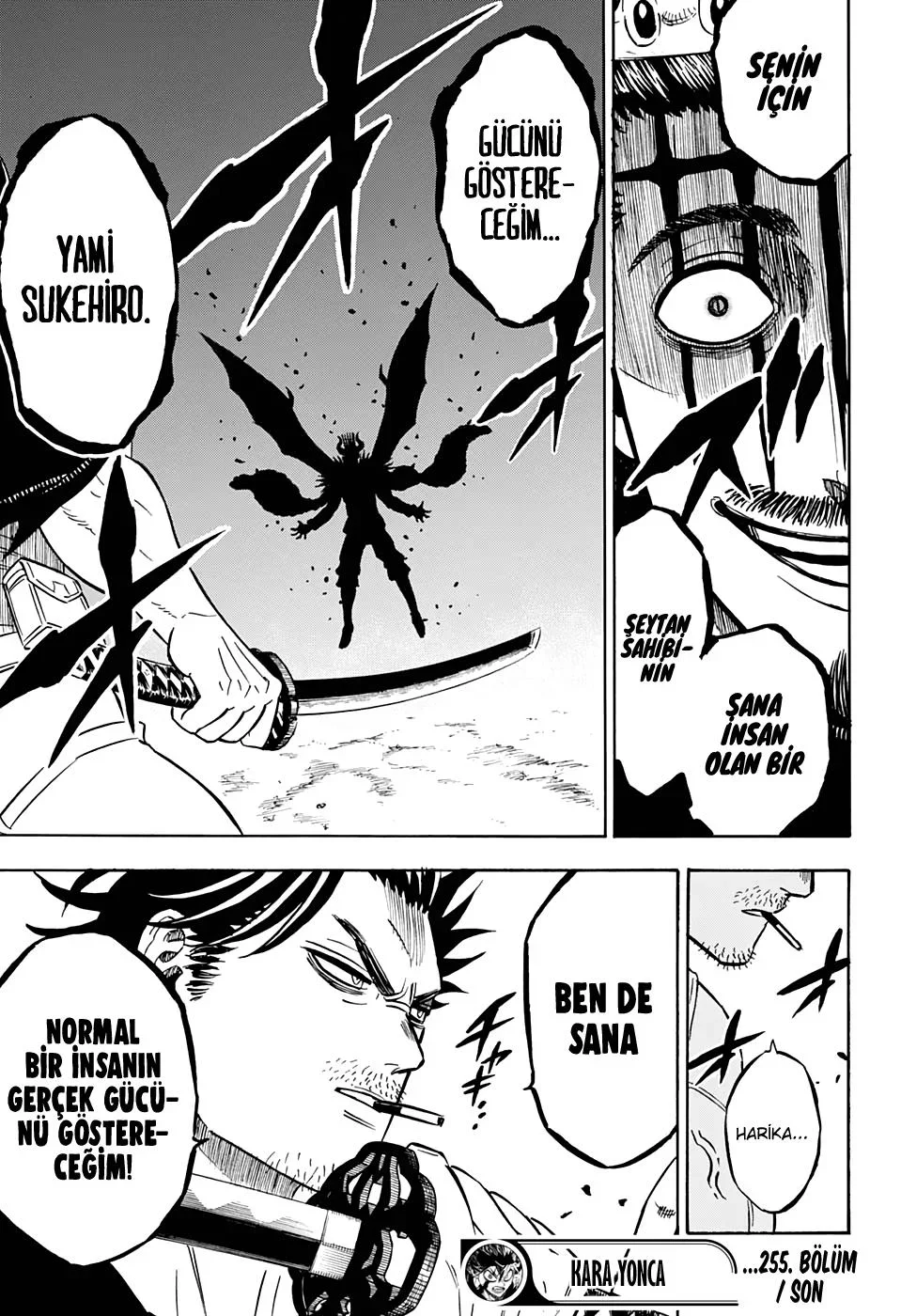 Black Clover - Bölüm 255 - Sayfa 15