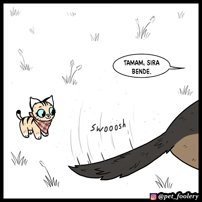 Pixie and Brutus - Bölüm 54 - Sayfa 6