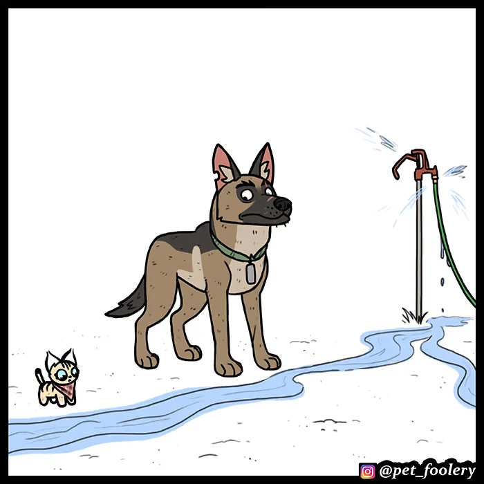 Pixie and Brutus - Bölüm 56 - Sayfa 5