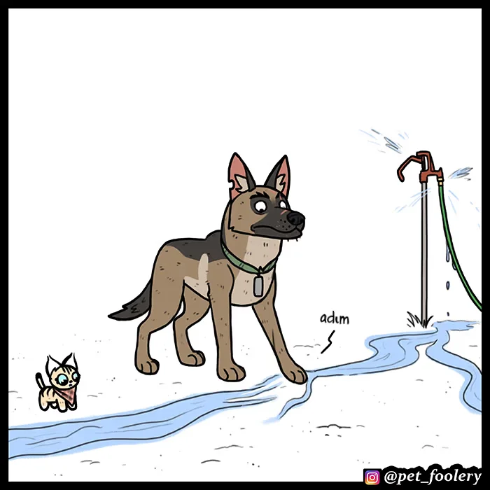 Pixie and Brutus - Bölüm 56 - Sayfa 6