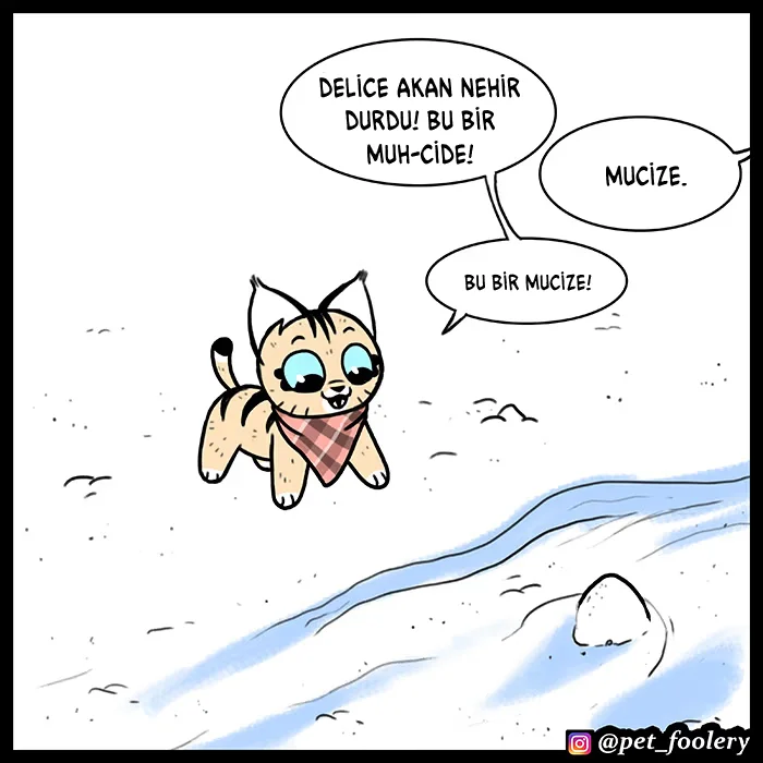 Pixie and Brutus - Bölüm 56 - Sayfa 7