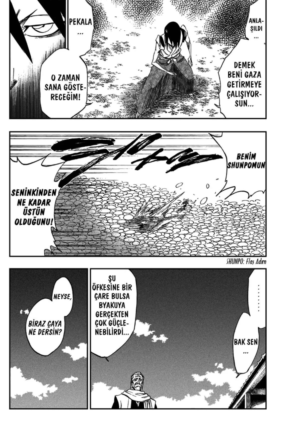 Bleach - Bölüm 315.4 - Sayfa 14