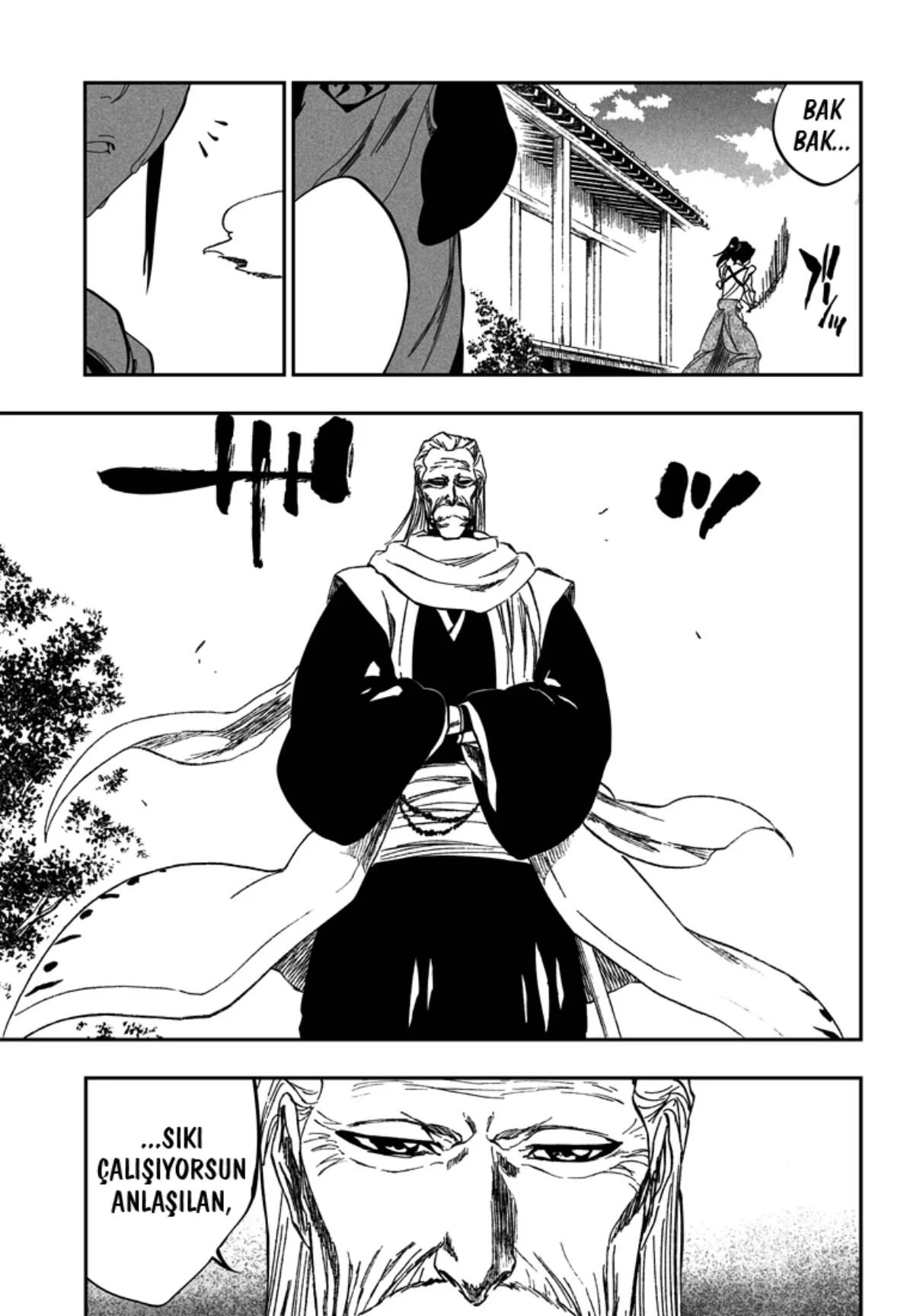 Bleach - Bölüm 315.4 - Sayfa 9