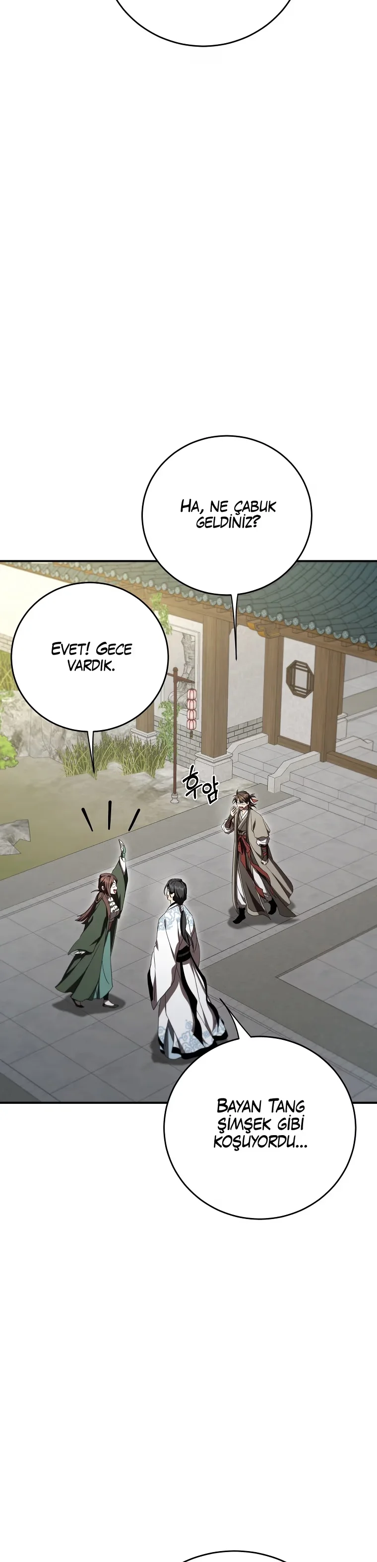Wandering Warrior of Wudang - Bölüm 153 - Sayfa 29