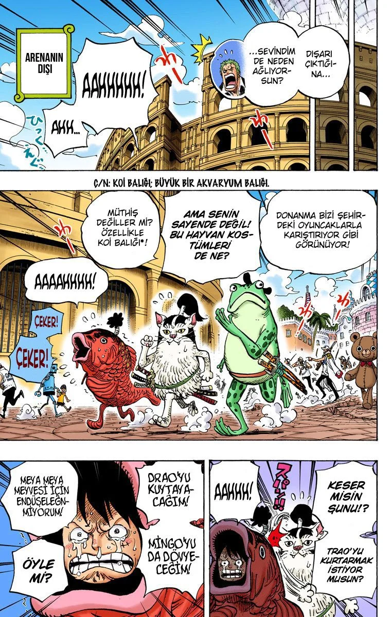One Piece - Bölüm 731 - Sayfa 17