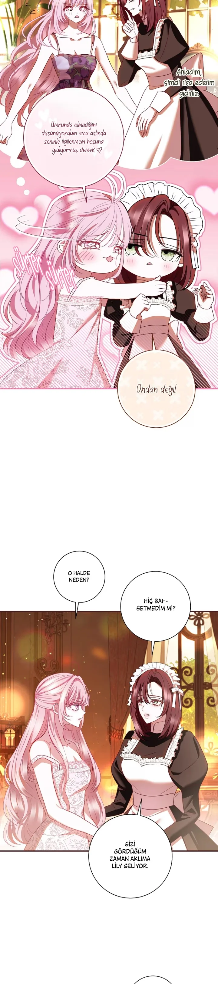 Villain, I'll Do Everything Except Marriage for You! - Bölüm 2 - Sayfa 11