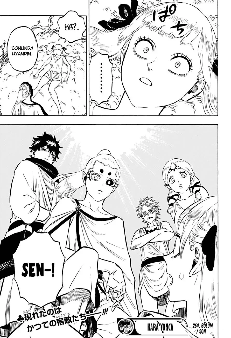 Black Clover - Bölüm 264 - Sayfa 16