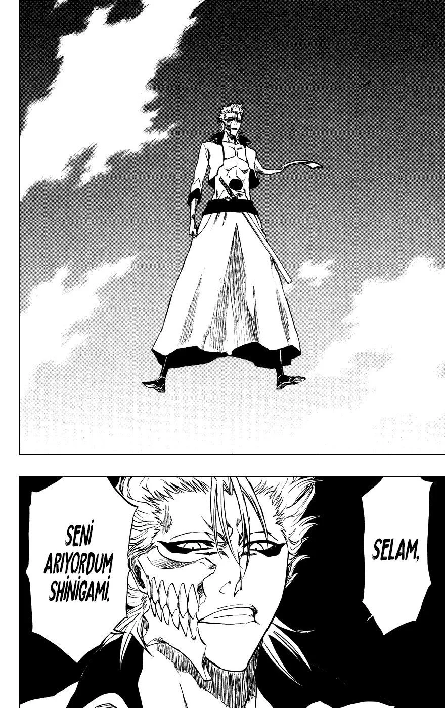 Bleach - Bölüm 230 - Sayfa 17