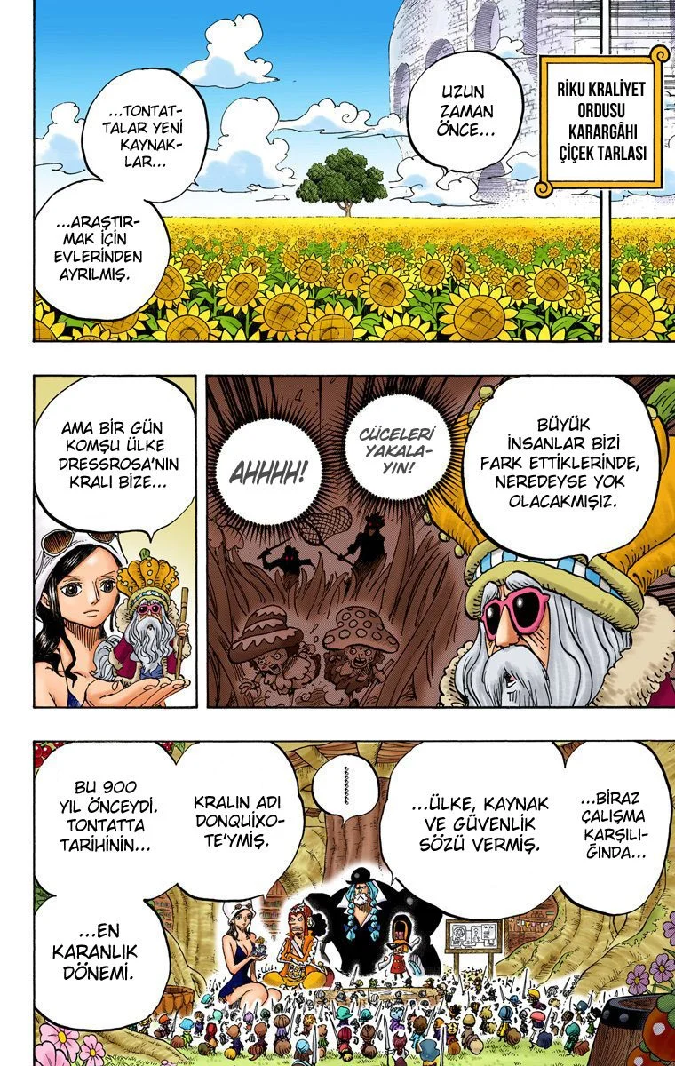 One Piece - Bölüm 726 - Sayfa 13
