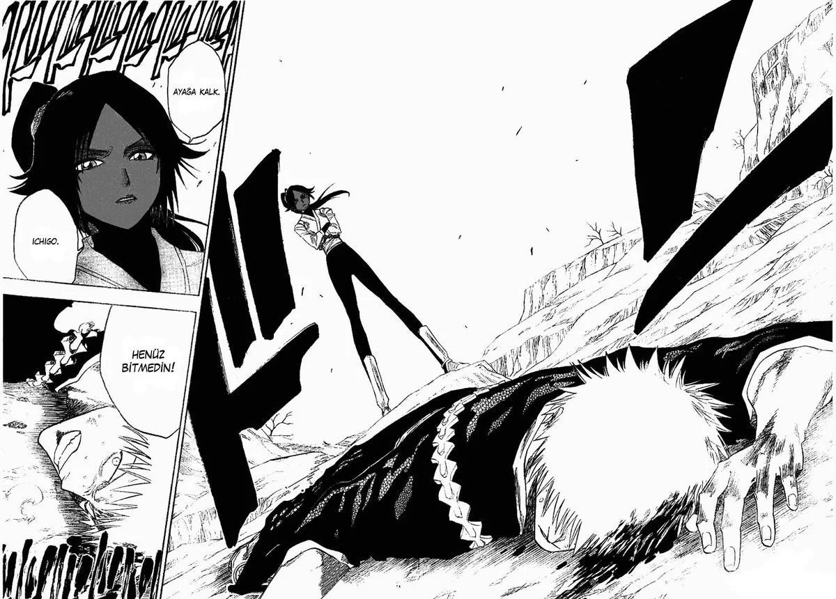 Bleach - Bölüm 126 - Sayfa 19