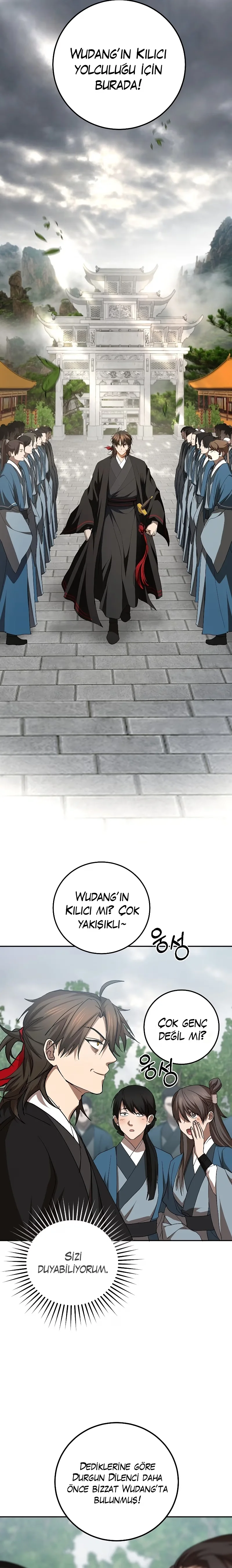 Wandering Warrior of Wudang - Bölüm 102 - Sayfa 13