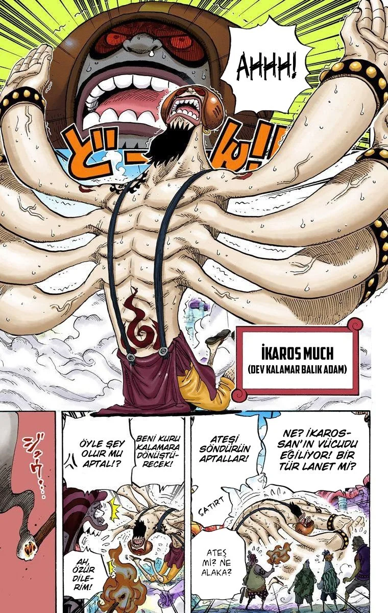 One Piece - Bölüm 630 - Sayfa 13