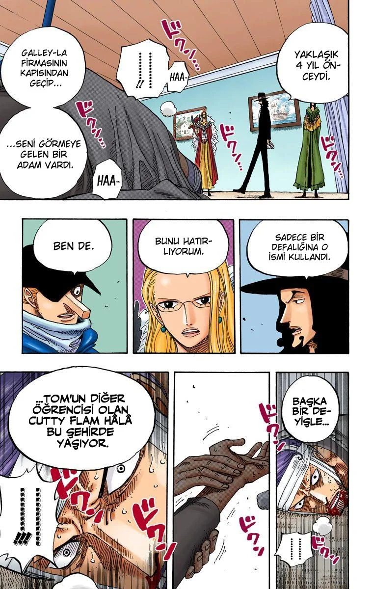One Piece - Bölüm 346.9 - Sayfa 13