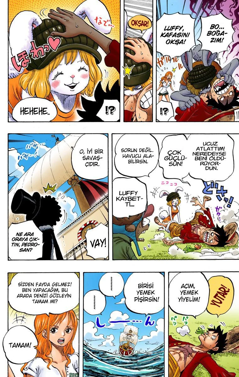 One Piece - Bölüm 823 - Sayfa 15