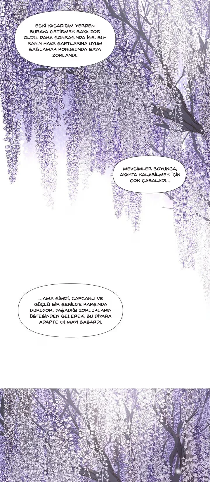 Ellin's Solhwa - Bölüm 12 - Sayfa 25