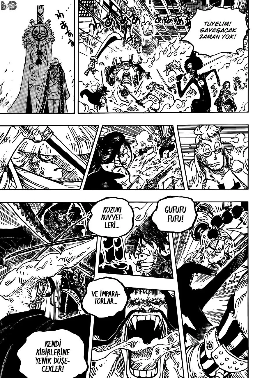 One Piece - Bölüm 1030 - Sayfa 10