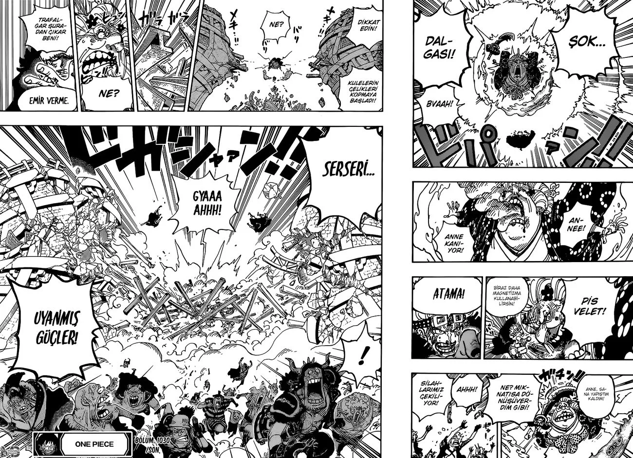 One Piece - Bölüm 1030 - Sayfa 15