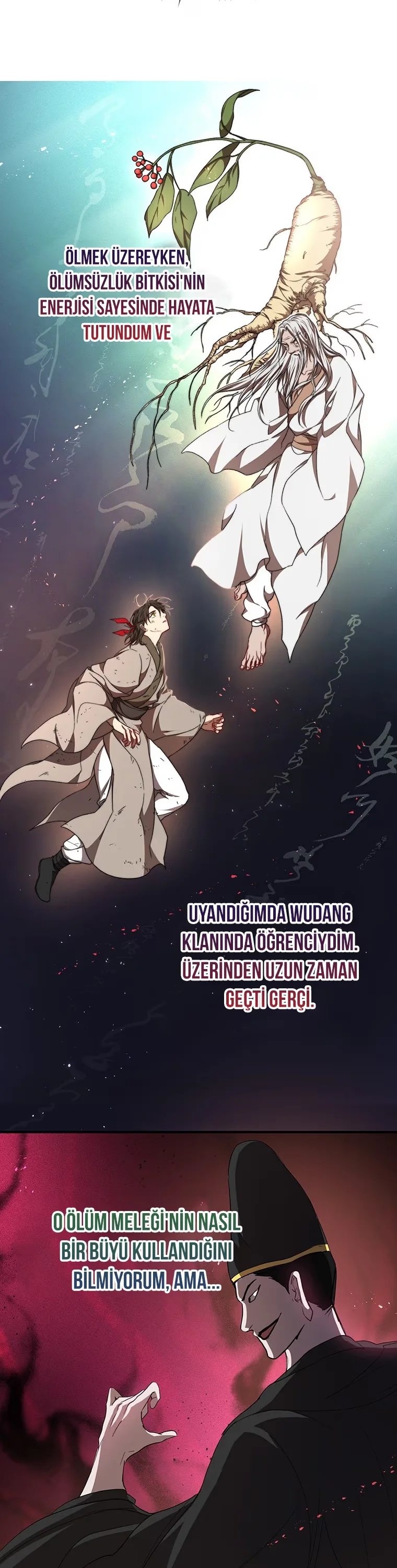 Wandering Warrior of Wudang - Bölüm 49 - Sayfa 5