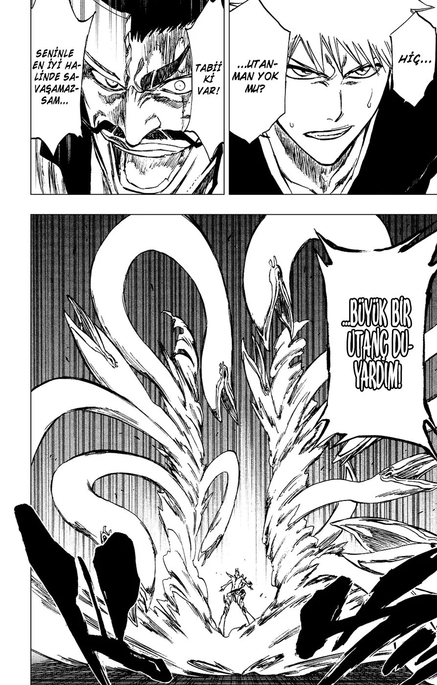 Bleach - Bölüm 253 - Sayfa 10