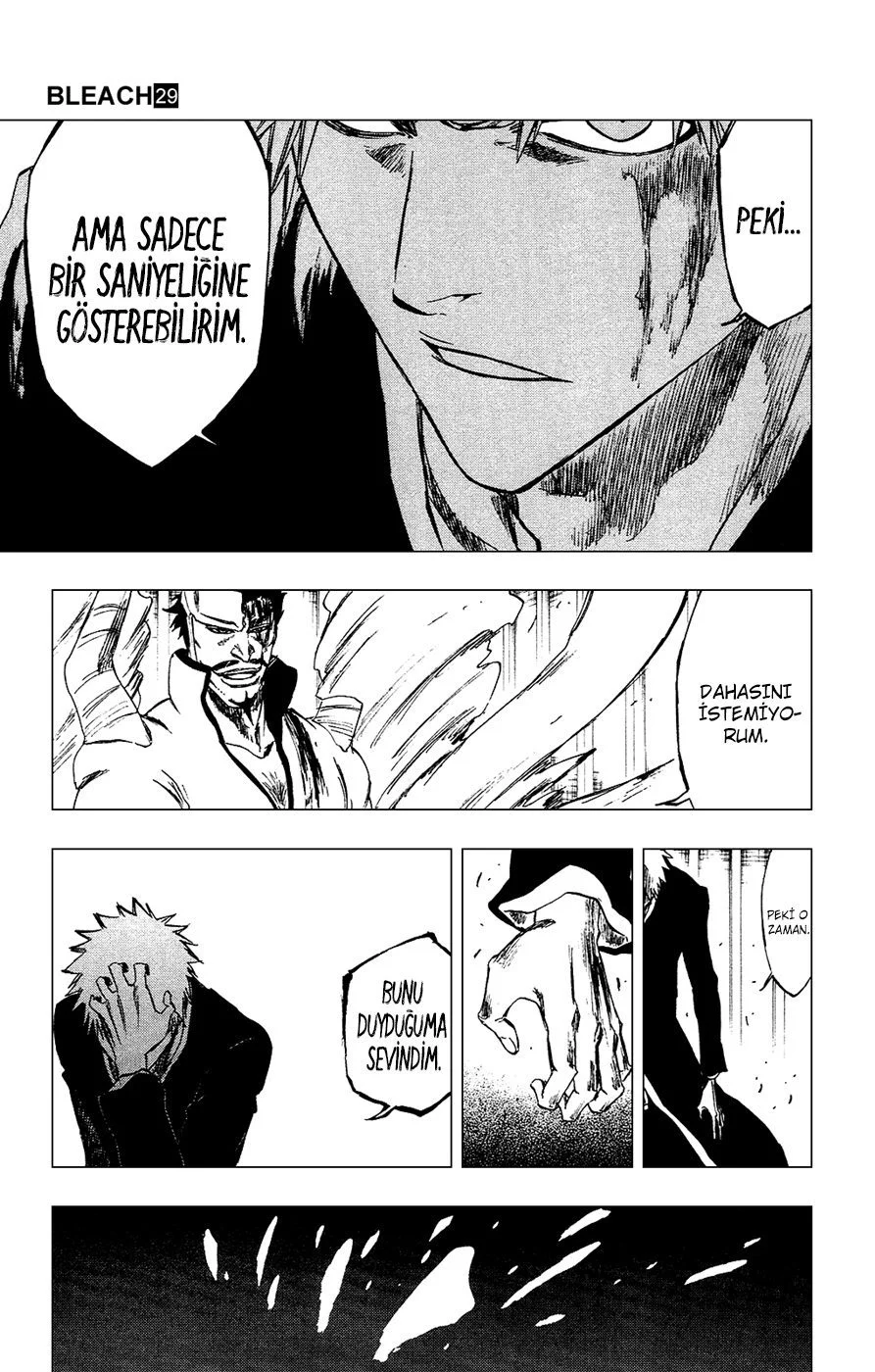 Bleach - Bölüm 253 - Sayfa 13