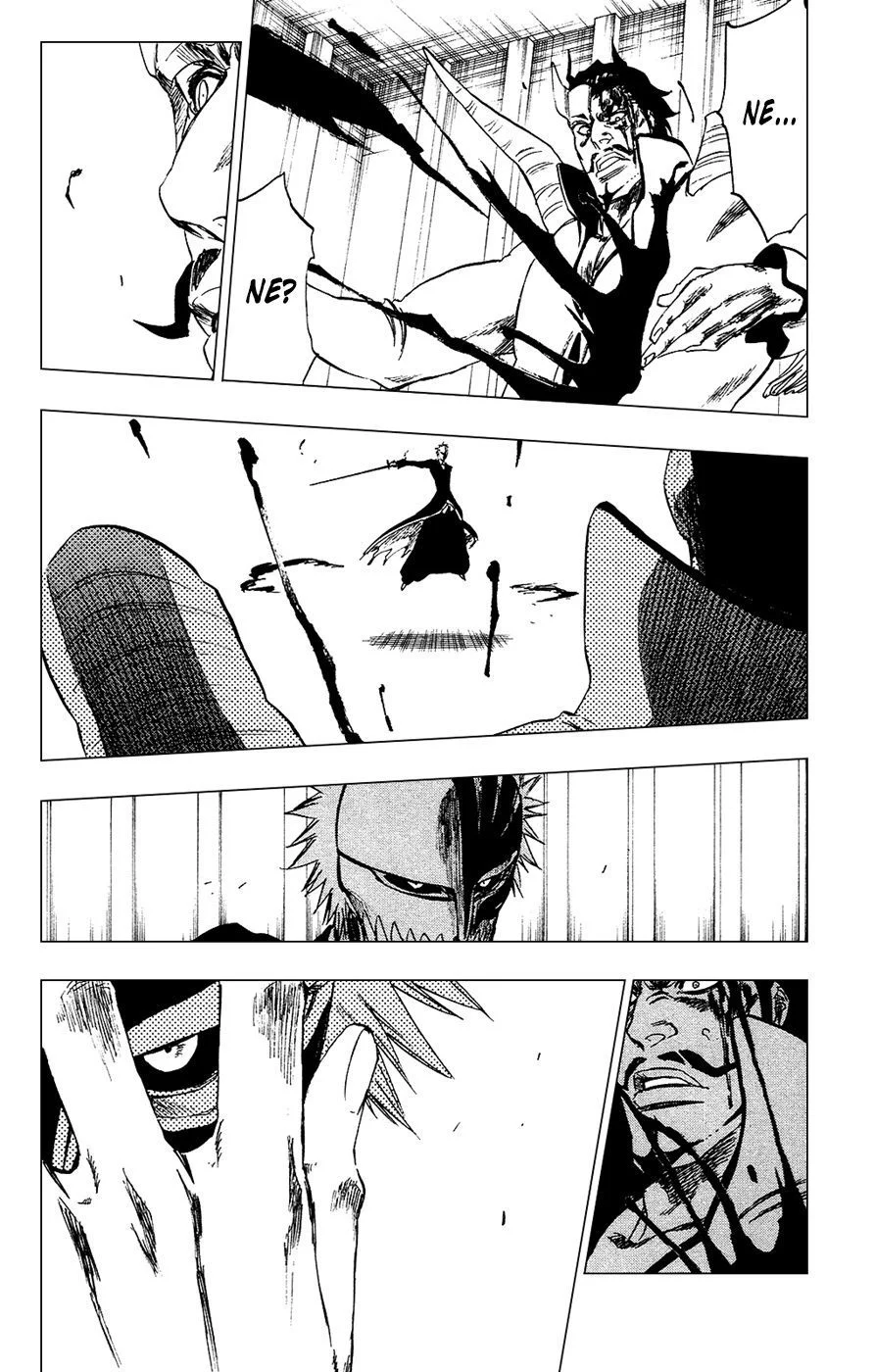 Bleach - Bölüm 253 - Sayfa 17