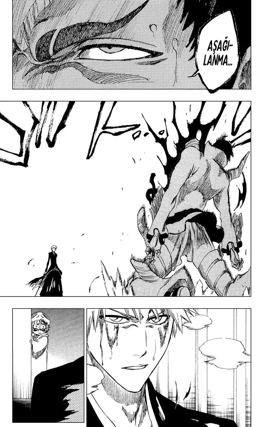 Bleach - Bölüm 253 - Sayfa 19