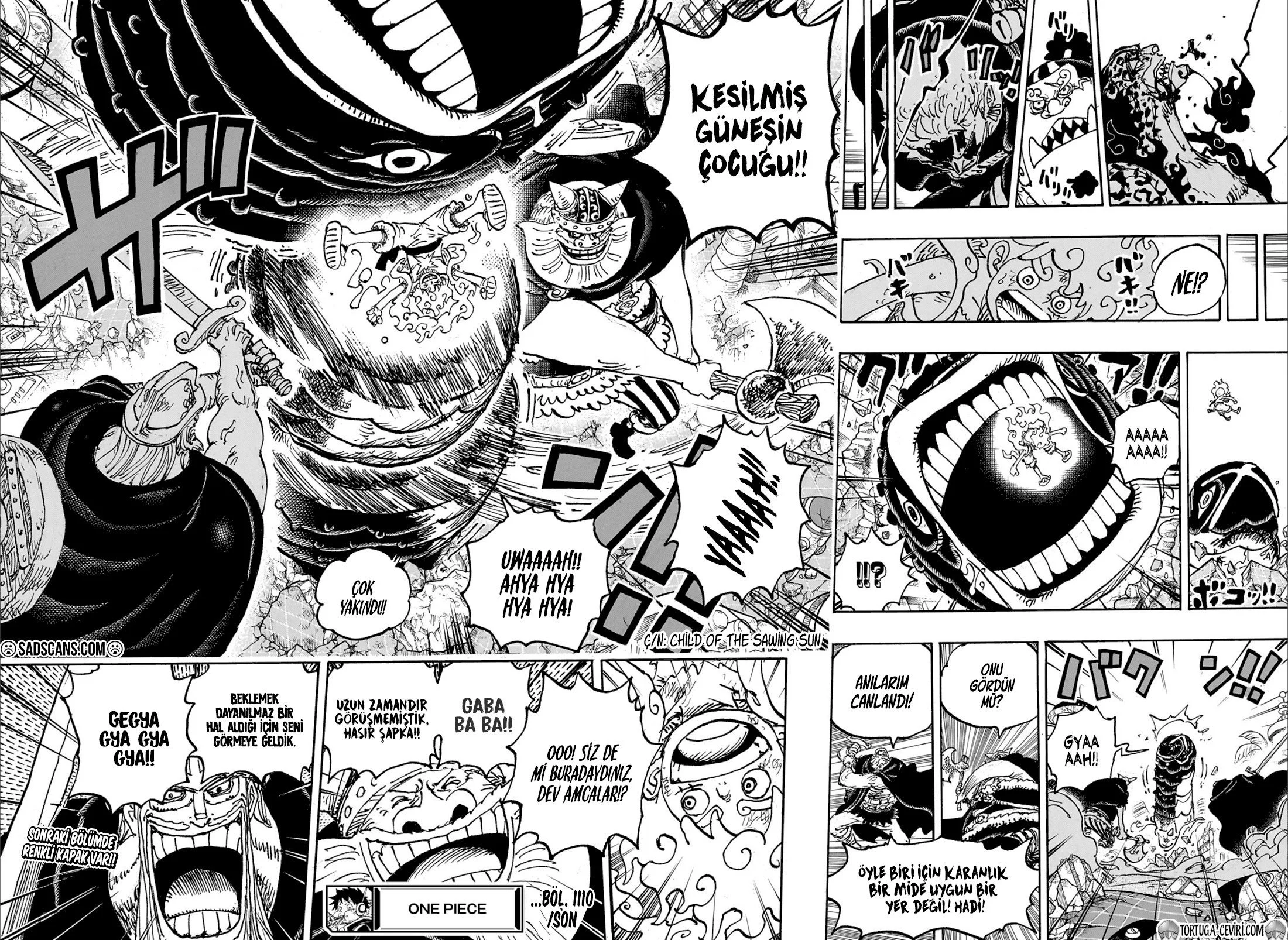 One Piece - Bölüm 1110 - Sayfa 13