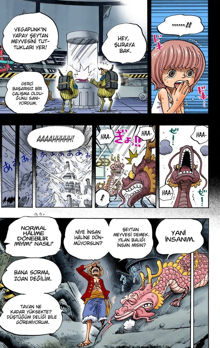 One Piece - Bölüm 685 - Sayfa 10