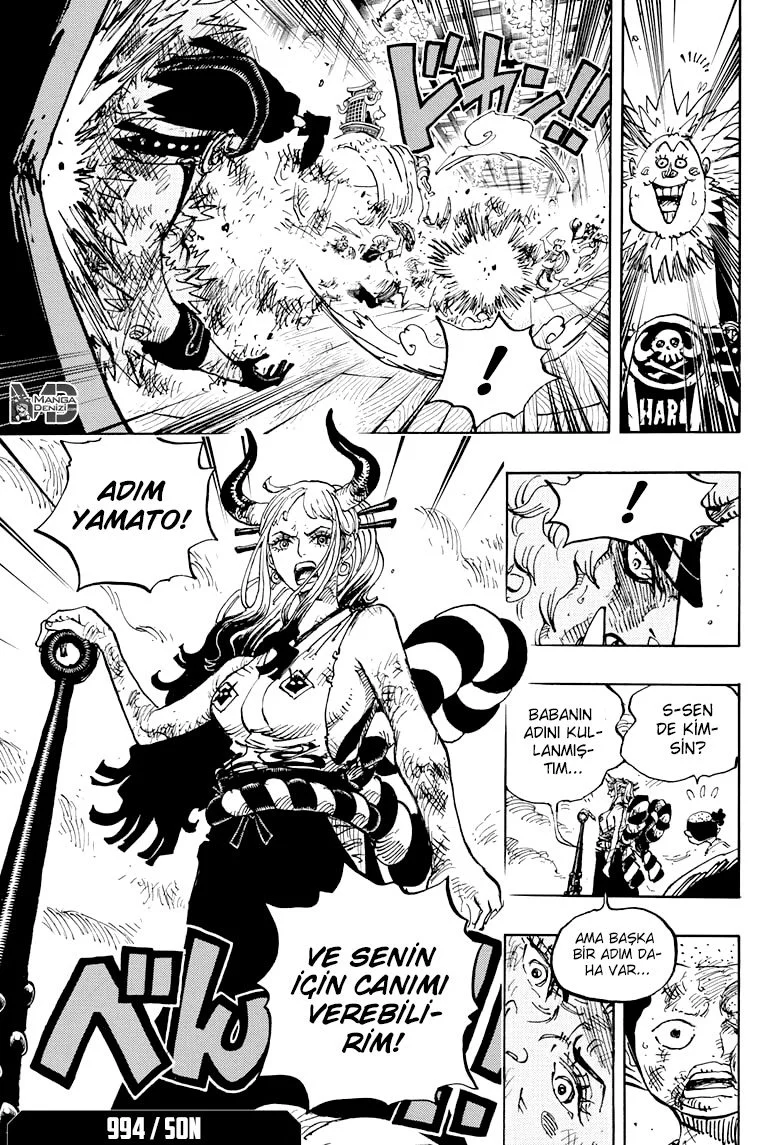 One Piece - Bölüm 994 - Sayfa 16