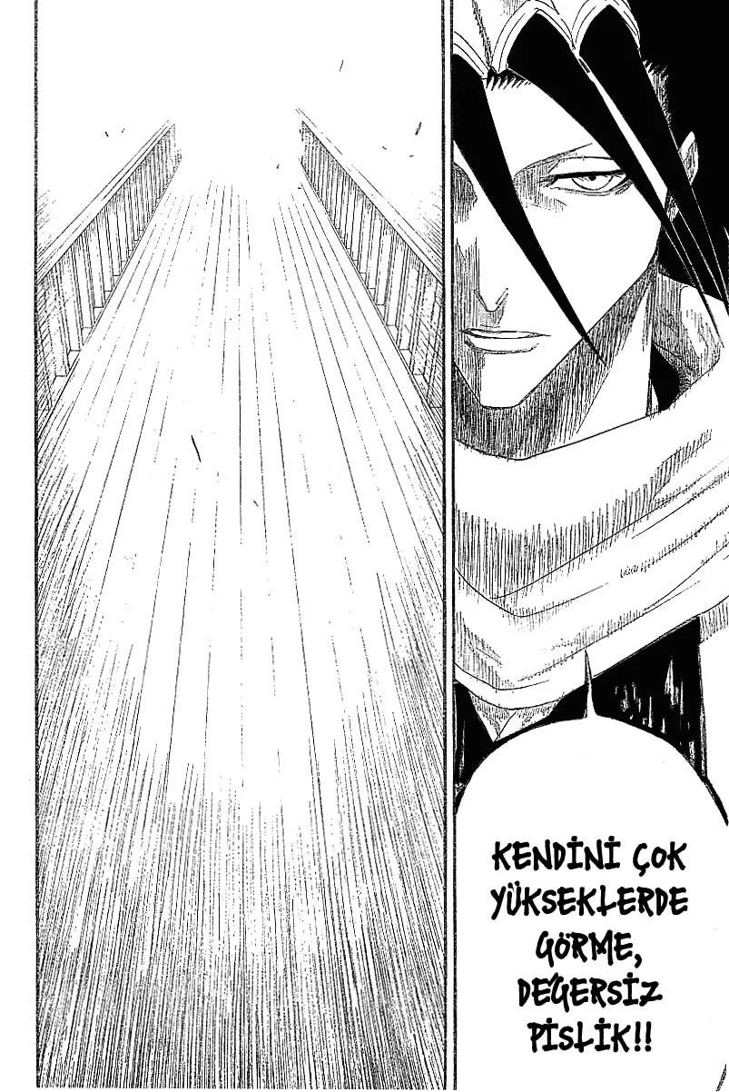 Bleach - Bölüm 117 - Sayfa 12
