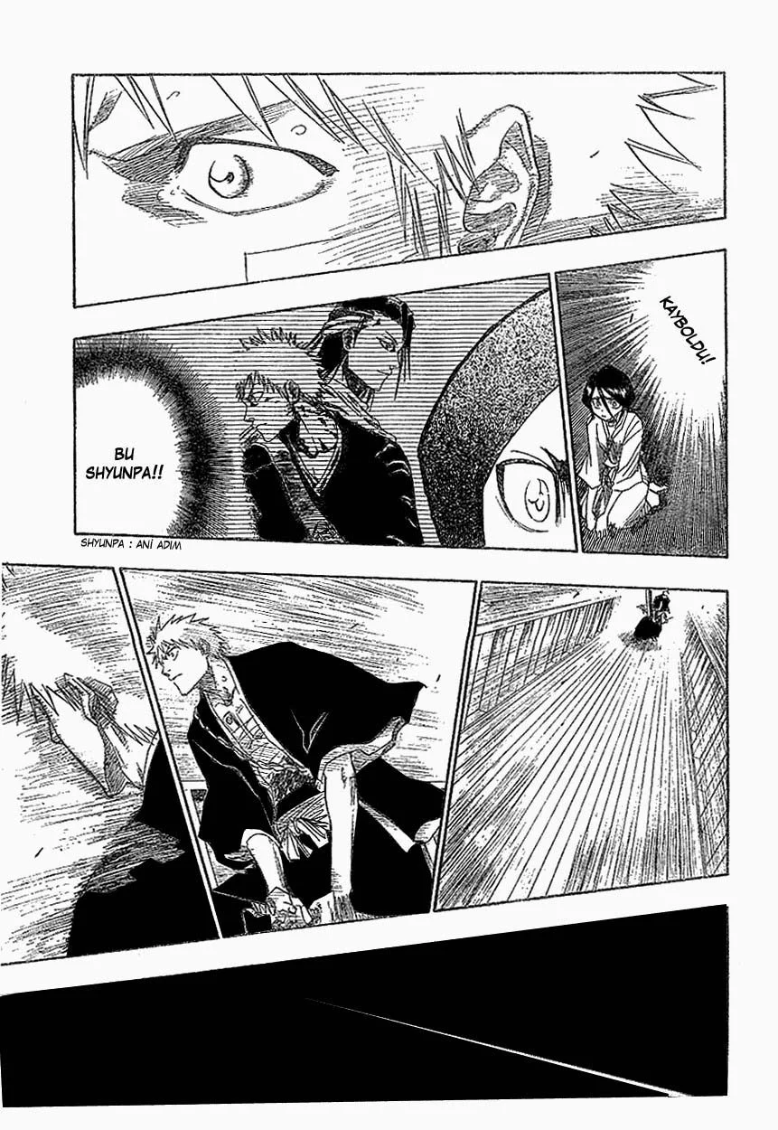 Bleach - Bölüm 117 - Sayfa 13
