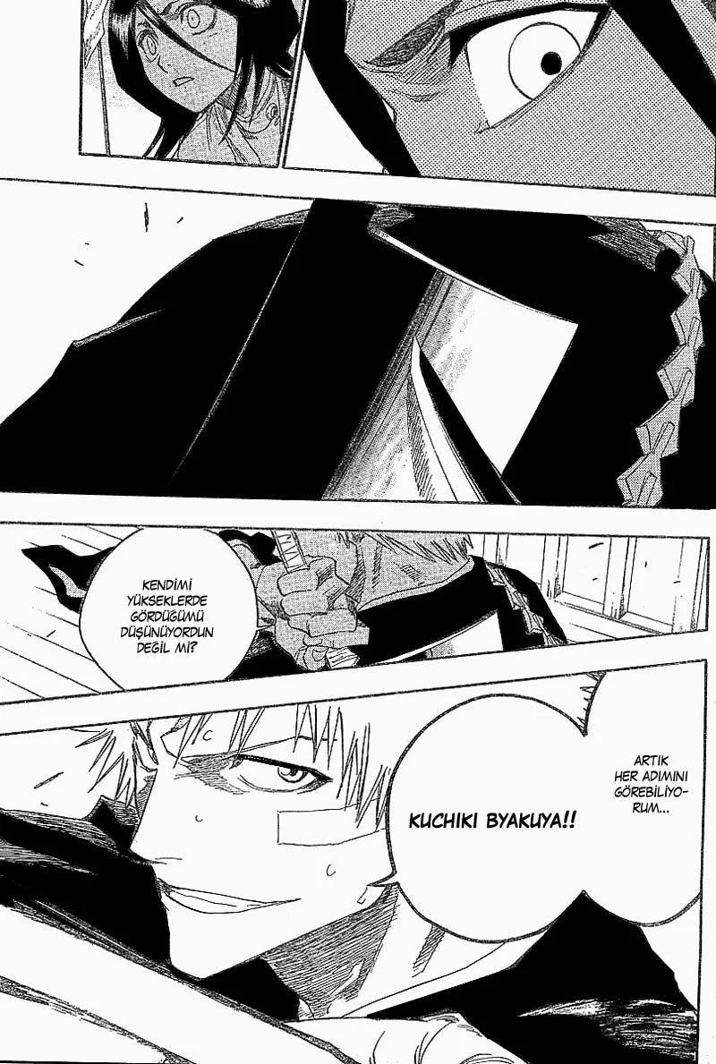 Bleach - Bölüm 117 - Sayfa 15