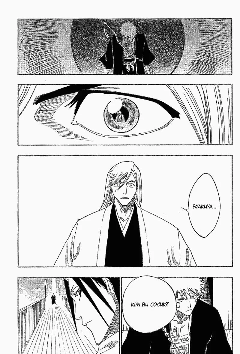 Bleach - Bölüm 117 - Sayfa 5