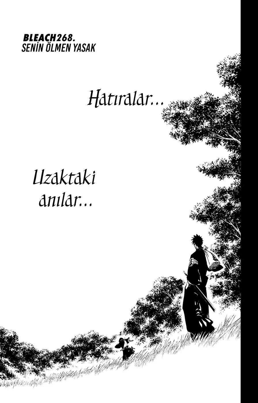 Bleach - Bölüm 268 - Sayfa 5