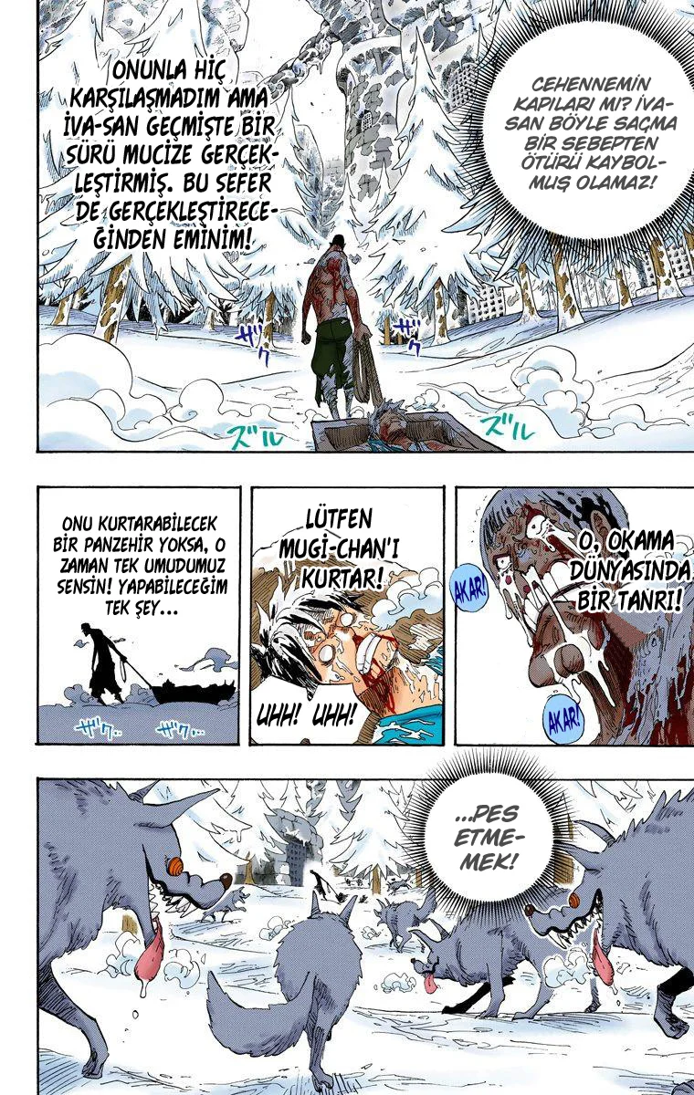 One Piece - Bölüm 536 - Sayfa 14