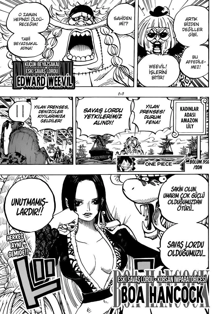 One Piece - Bölüm 956 - Sayfa 17