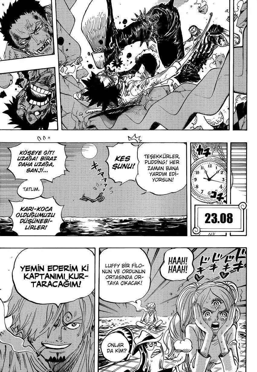 One Piece - Bölüm 894 - Sayfa 13