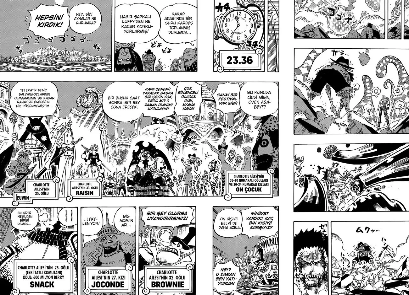 One Piece - Bölüm 894 - Sayfa 14