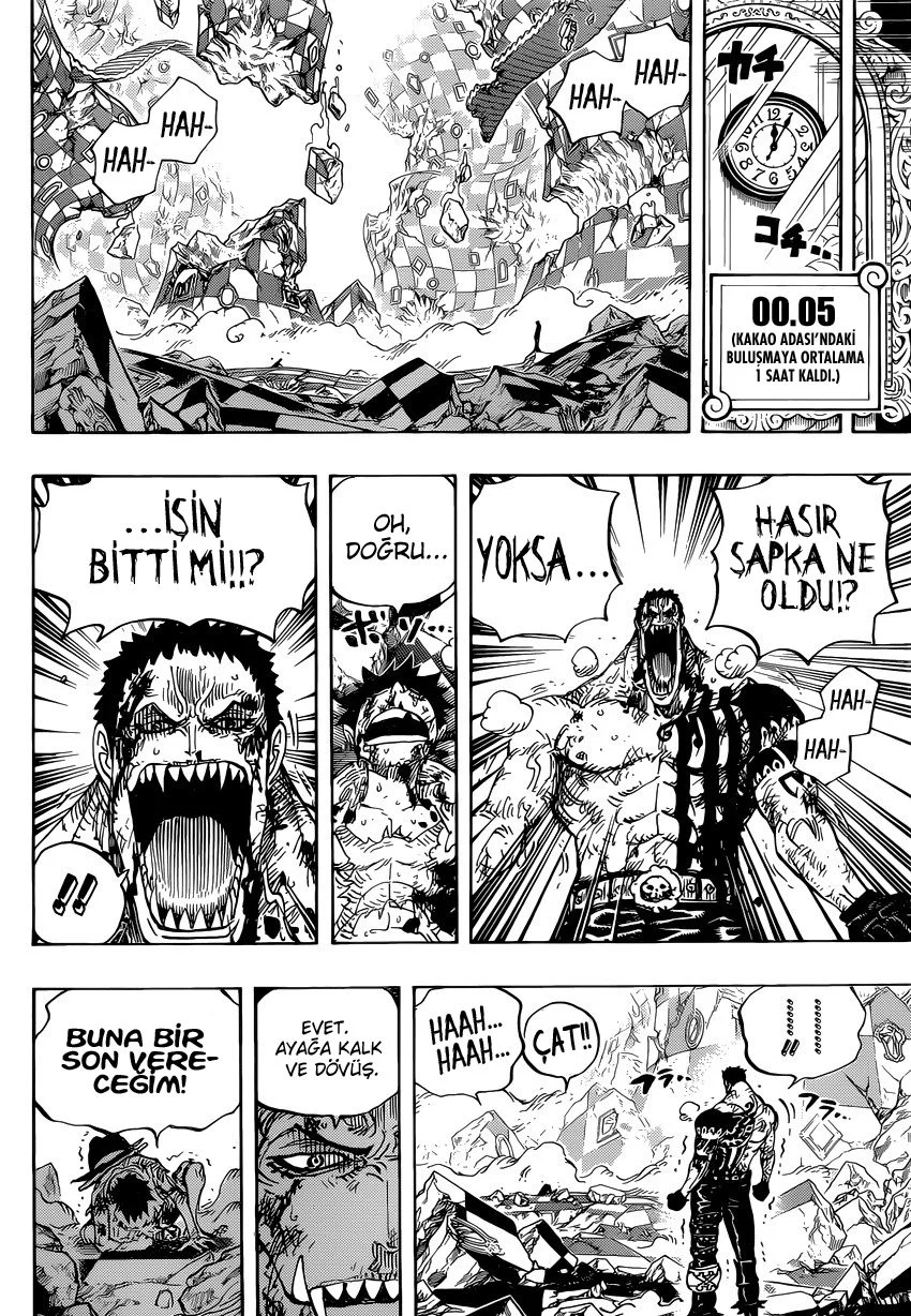 One Piece - Bölüm 894 - Sayfa 15