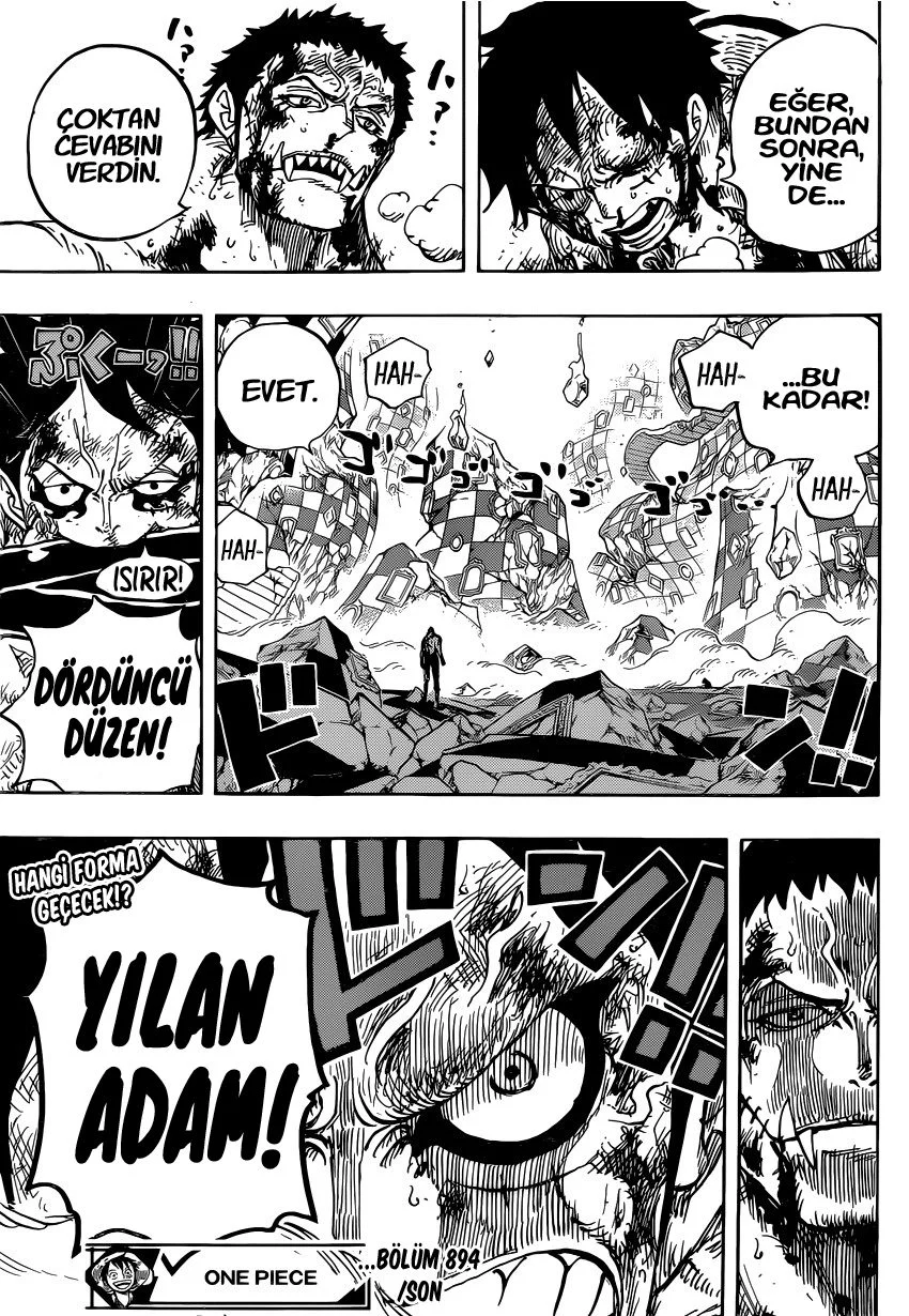 One Piece - Bölüm 894 - Sayfa 16