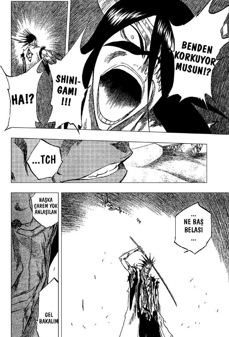 Bleach - Bölüm 312 - Sayfa 10
