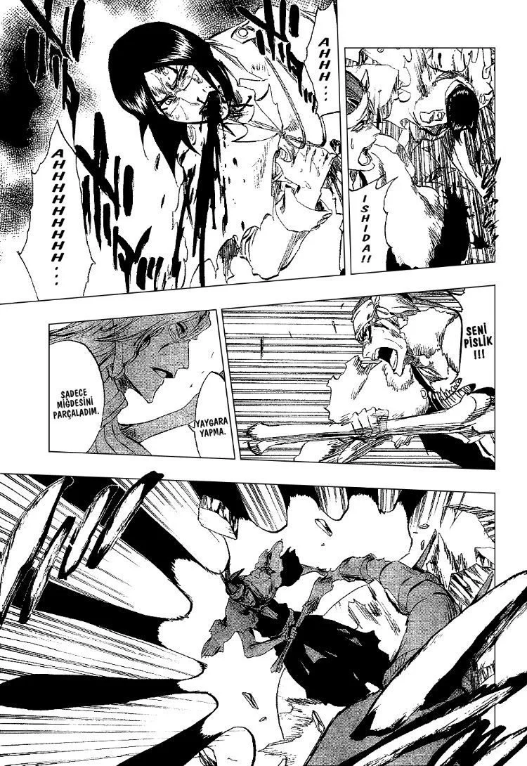 Bleach - Bölüm 293 - Sayfa 16