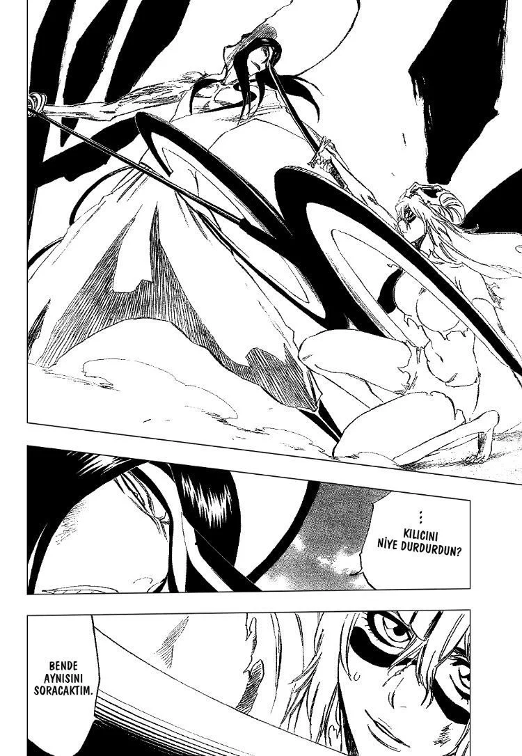 Bleach - Bölüm 293 - Sayfa 19