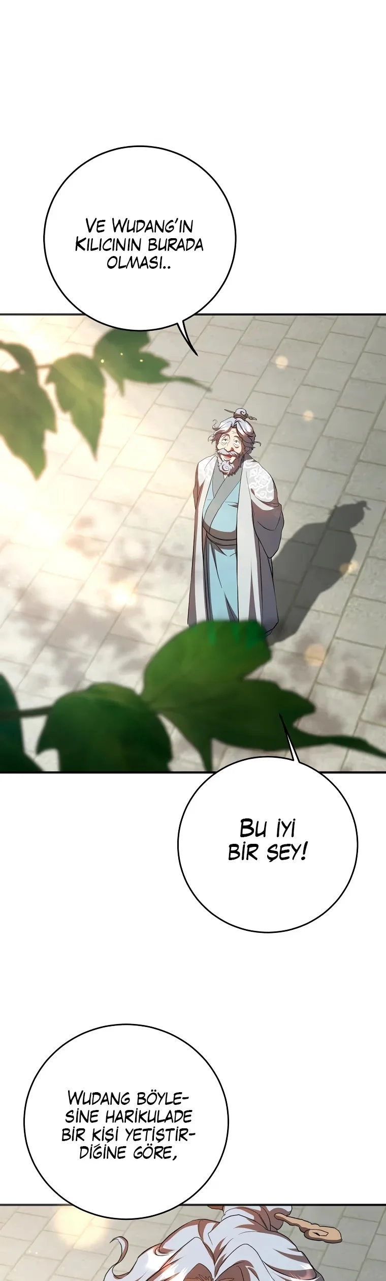 Wandering Warrior of Wudang - Bölüm 123 - Sayfa 47