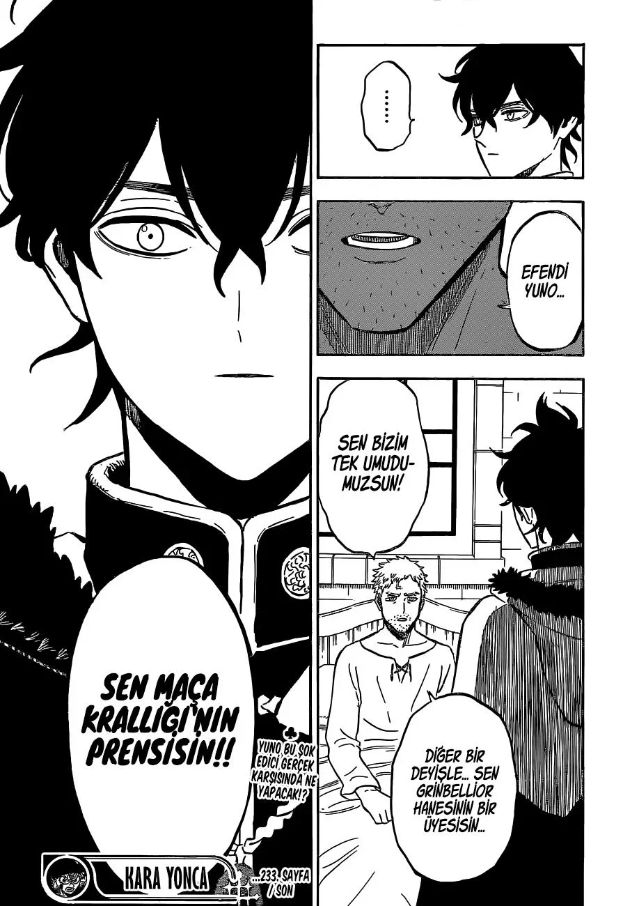 Black Clover - Bölüm 233 - Sayfa 13