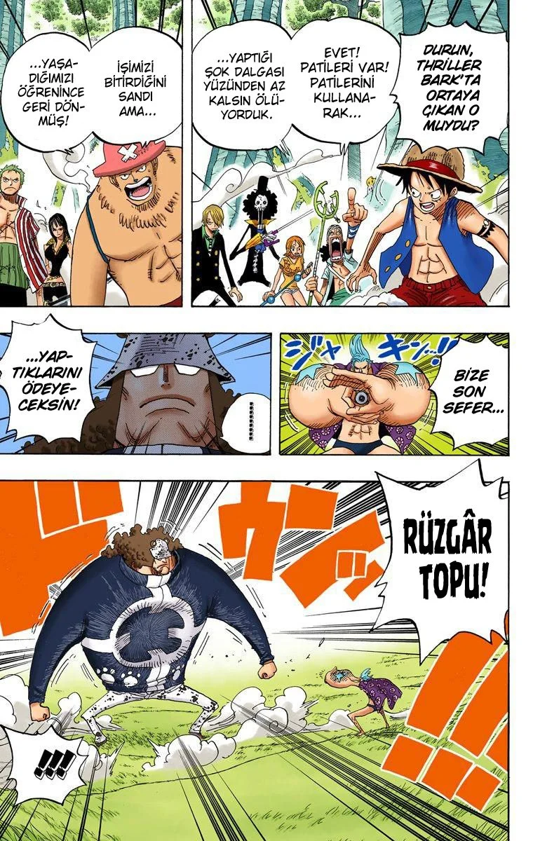 One Piece - Bölüm 508 - Sayfa 17