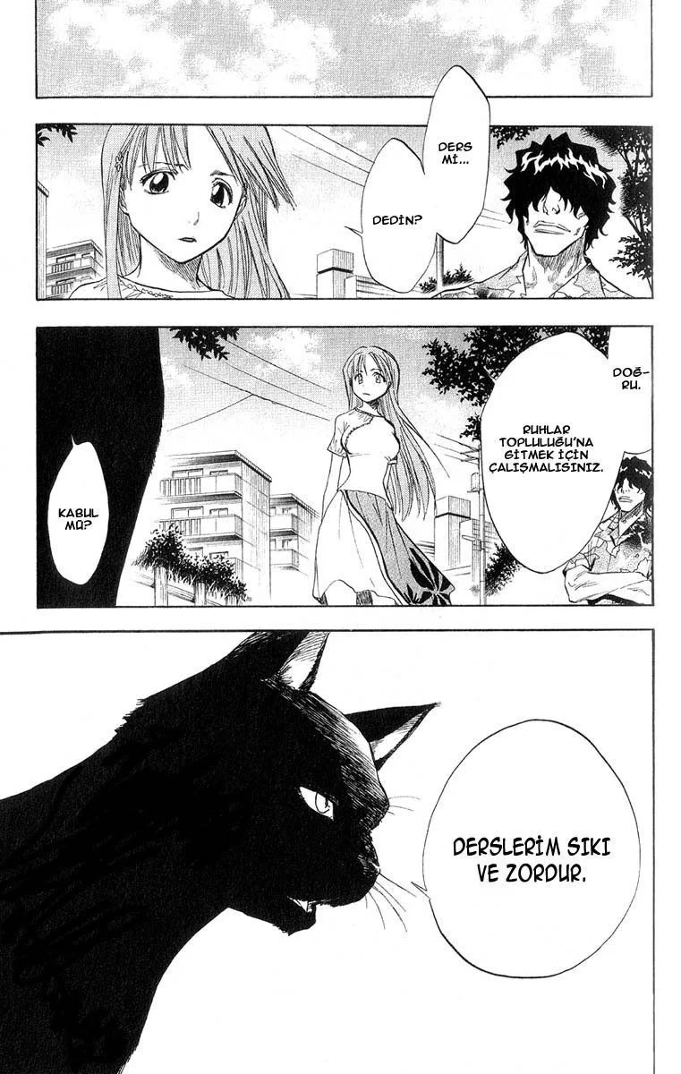 Bleach - Bölüm 60 - Sayfa 14