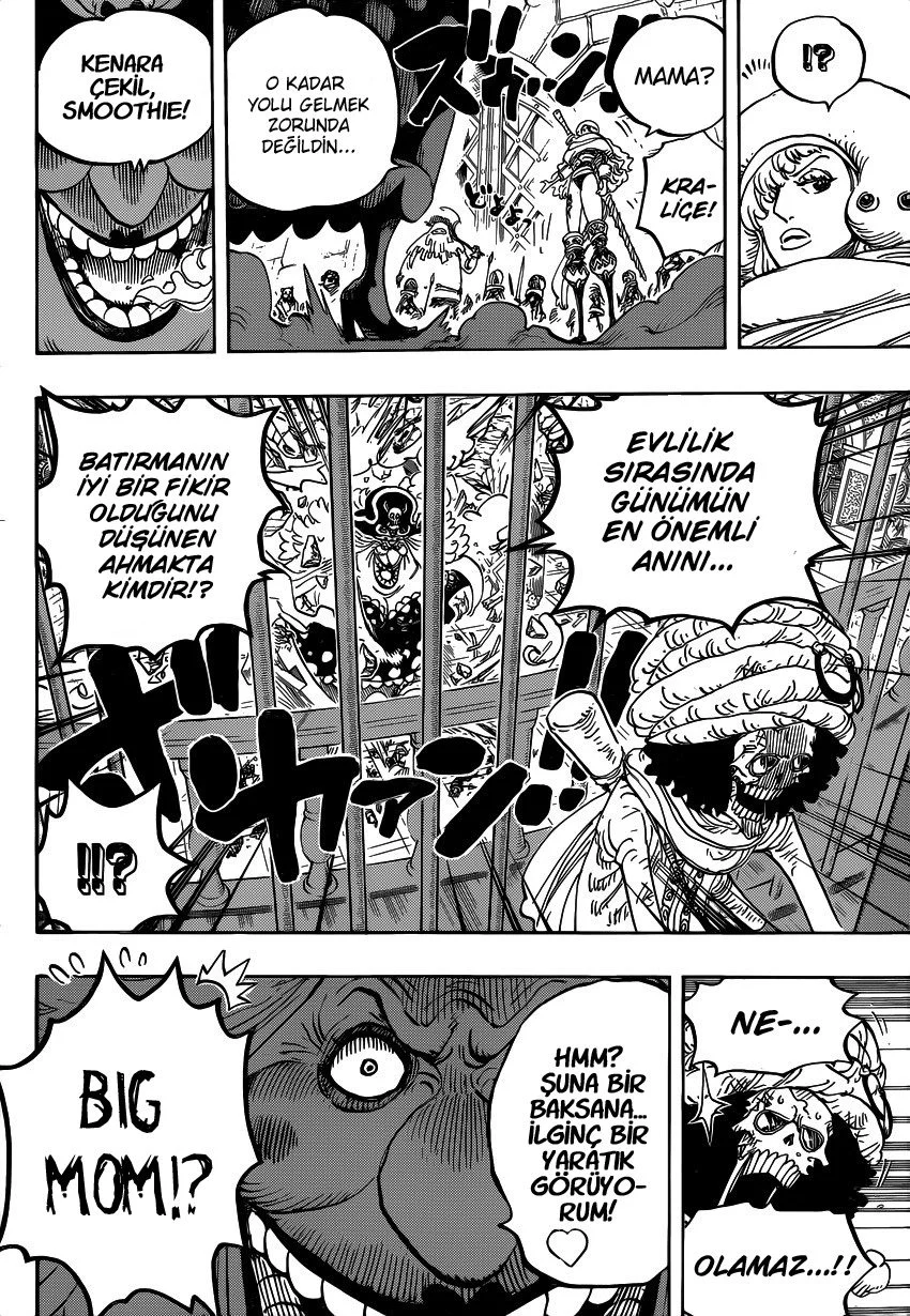 One Piece - Bölüm 849 - Sayfa 14